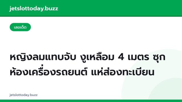 หญิงลมแทบจับ งูเหลือม 4 เมตร ซุกห้องเครื่องรถยนต์ แห่ส่องทะเบียน