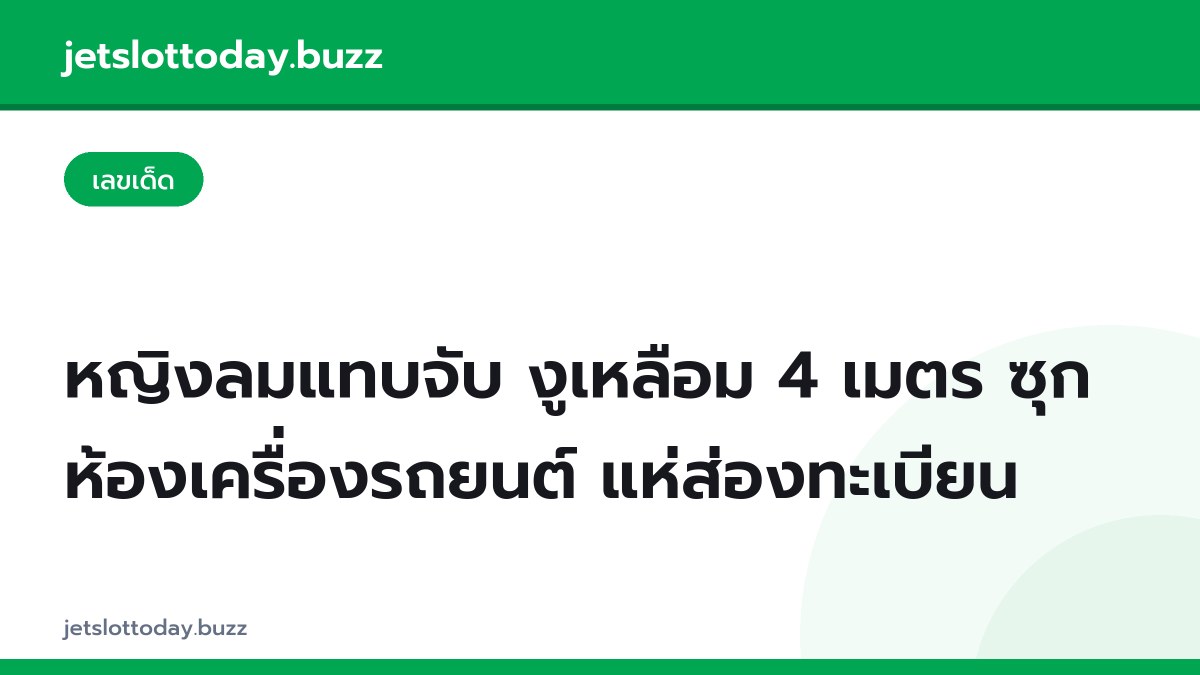 หญิงลมแทบจับ งูเหลือม 4 เมตร ซุกห้องเครื่องรถยนต์ แห่ส่องทะเบียน